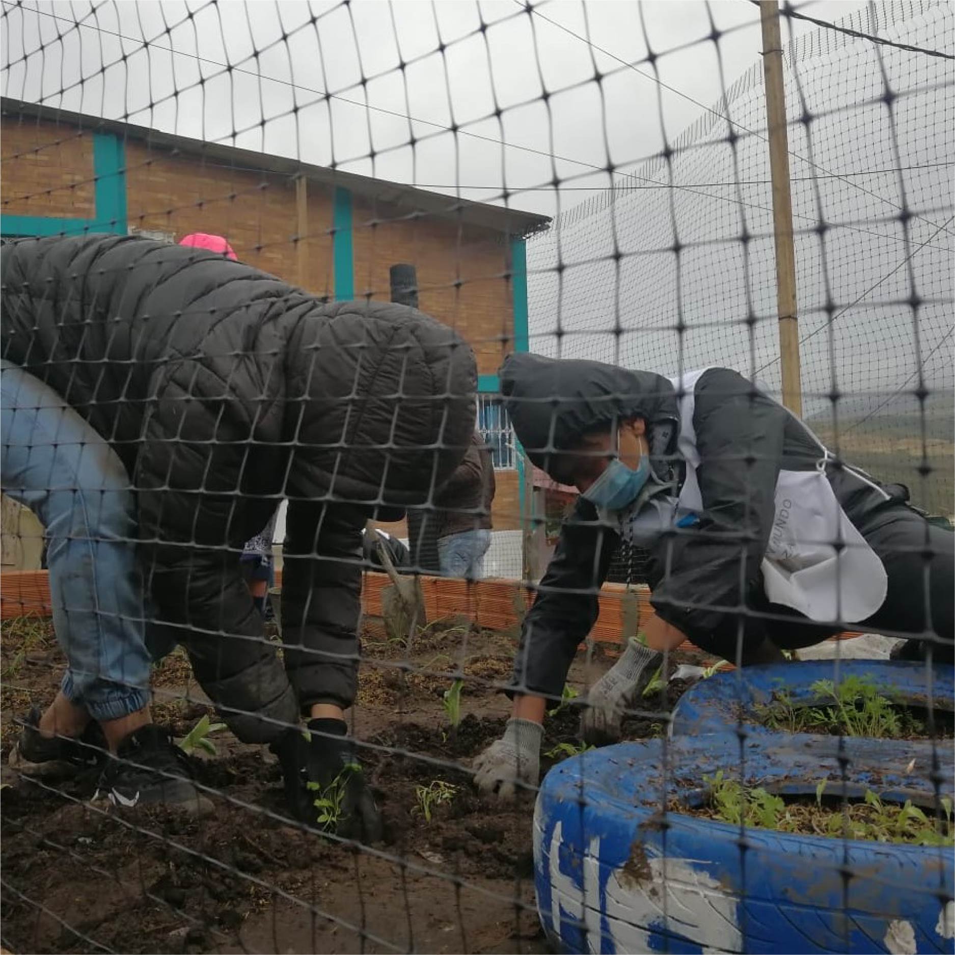 Aldeamicos en actividades de Labor Social 6